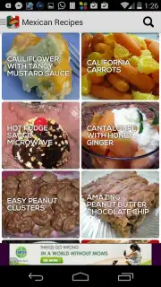 Mexican Recipes captura 3