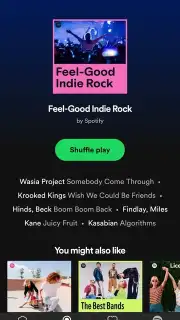Spotify Lite captura 8