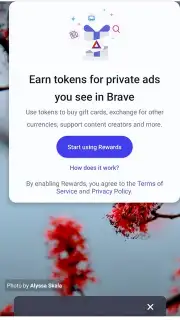 Brave Browser (Beta) captura 3