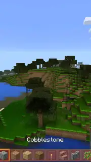 King Craft captura 9