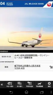 JAL Schedule captura 5