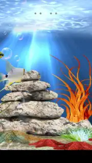 Tropical aquarium captura 7
