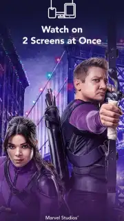 Disney+ Hotstar captura 13
