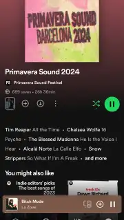 Spotify captura 29