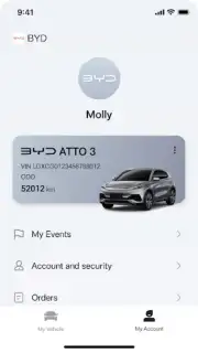 BYD captura 1