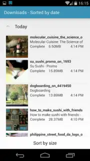 AVD Android Video Downloader captura 4