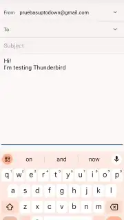 Thunderbird captura 4