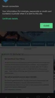 AVG Browser captura 5
