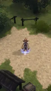 Final Fantasy Crystal Chronicles captura 3