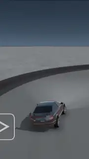 Skid Rally captura 8