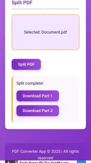 PDF Converter captura 1