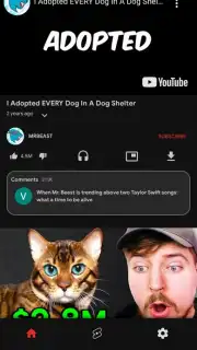 Lite You Vanced - Block Video Ads captura 2
