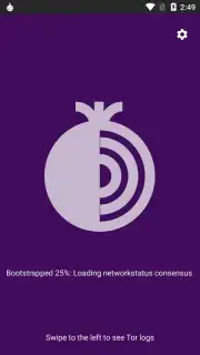Tor Browser captura 6
