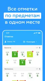 Дневник Новосибирской области captura 13