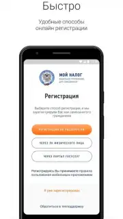 Мой Налог captura 2