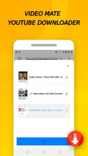 Vidora YouTube Downloader | free & fast captura 11