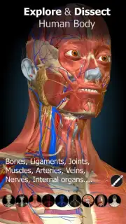3D Anatomy Learning captura 6