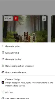 Adobe Firefly captura 12