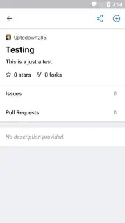 GitHub captura 3