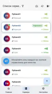 ZipVPN captura 3