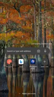 Microsoft Edge Dev captura 1