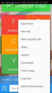cheetah browser captura 2