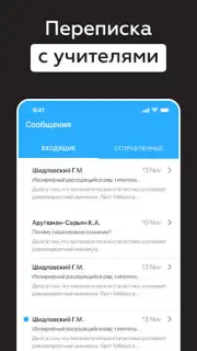 Дневник Новосибирской области captura 6