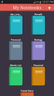 My Notebooks captura 2