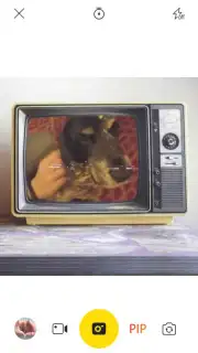 V Camera captura 3