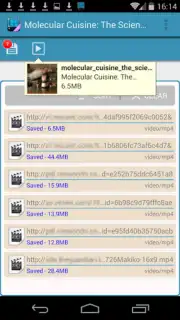 AVD Android Video Downloader captura 1