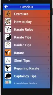 Karate Training captura 3