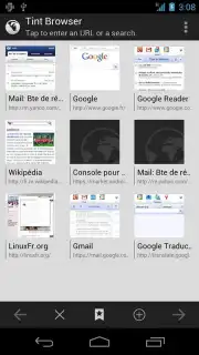 Tint Browser captura 4