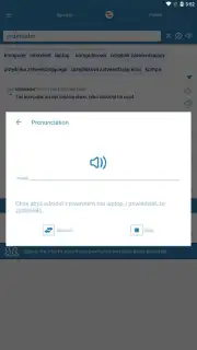 Reverso Translation Dictionary captura 14