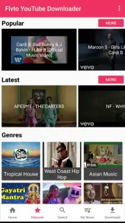Flvto YouTube Downloader captura 5