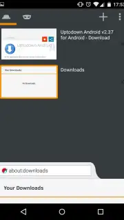 Adblock Browser captura 3