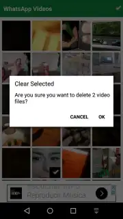 Fast WhatsApp Cleaner captura 5