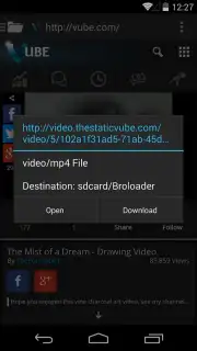 Broloader Video Downloader captura 15