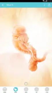 Pregnancy + captura 16