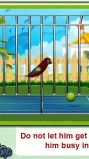 Parrot Pet Shop captura 2