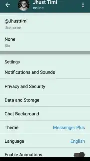 Messenger Plus captura 6