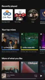 Spotify captura 11