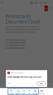 Adobe Acrobat Reader captura 1