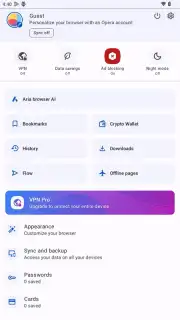 Opera Browser captura 3