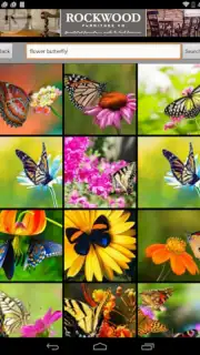 Butterfly Flower for DoodleTex captura 3