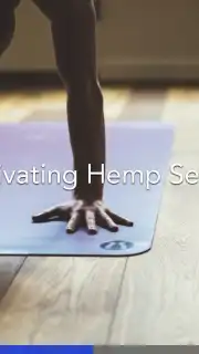 Yoga | Down Dog captura 2