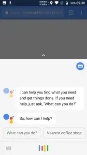 Google Assistant captura 9