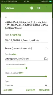 IDM (internet download menager) captura 3