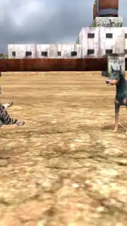 HomelessCat captura 5