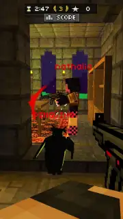 Pixel Gun 3D captura 6