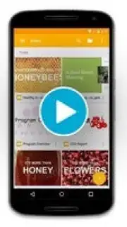 Google Slides captura 1
